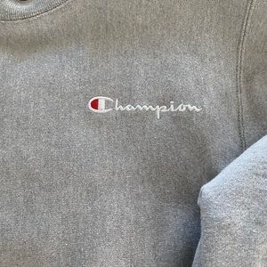 Champion sweatshirt.